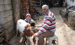 Yarım asırlık yetiştirici isyan etti