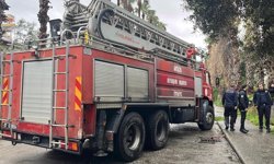 Alanya'da kedi alarmı