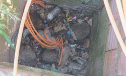 Manavgat'ta itfaiyenin kirpi ve serçe mesaisi