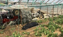 Alanya'da traktör devrildi: 1 ölü