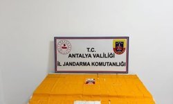Alanya'da uyuşturucu operasyonu