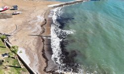 Alanya'da sahilde tedirginlik