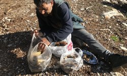 Antalya'da 'göbek' sezonu başladı