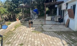 Kötü şartlarda yaşayan hayvanlar kurtarıldı