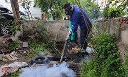 Antalya'da vektörle mücadele çalışması