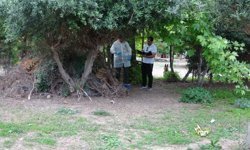 Ağaçlık alanda ölü bulundu