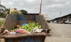Çöpe atılan sebzelere tepki