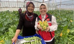 Aksulu kadın çiftçiden büyük başarı