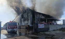 Antalya'da patates üretim tesisinde yangın