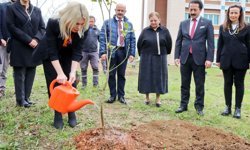 AÜ'de 2 yılda 5 bin fidan dikildi