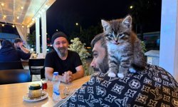 Yavru kedi sayesinde bağımlılıktan kurtuldu