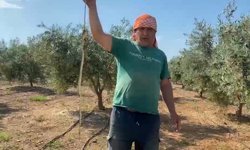 Karpuz toplarken yılanla burun buruna geldi