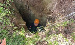 Mağaraya düşen inek telef oldu