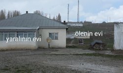 Köpek dehşetinin görüntüleri ortaya çıktı