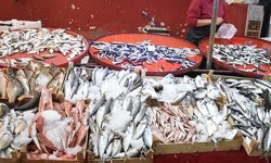 Yasak öncesi balık fiyatlarında durum ne?