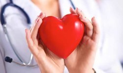 Gelecek anne karnında başlar