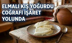 Elmalı kış yoğurdu coğrafi işaret yolunda