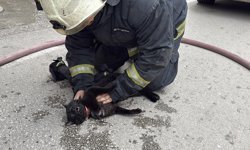 Kalp masajı ile hayata döndürdü