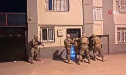 Bayğaralar suç örgütüne yönelik operasyon: 287 gözaltı