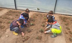 Konyaaltı'da tohumlar toprakla buluştu