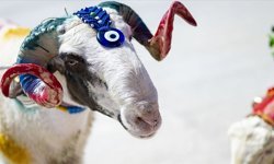 Emekliler için kurban kesmek hayal oldu!