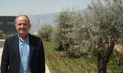 Zeytinyağında devrimin öyküsü