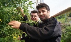 Hem tedavi görüyorlar hem para kazanıyorlar