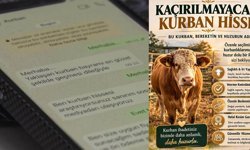 Ucuz kurbanlık oyununa dikkat