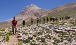 Sanal medya etkisi kazaları artırdı