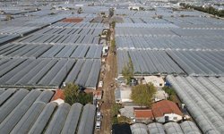 Serada maliyet krizi büyüyor