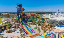 Waterfly kapılarını açıyor