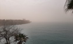 Antalya’da ürküten görüntü