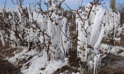 Tarım sigortasında kapsam değişmeli