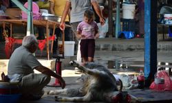 12 yaşından küçüklere kurban kesimini göstermeyin
