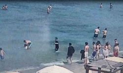 Denizde can pazarı