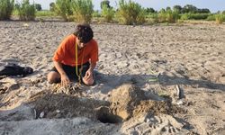 Belek'te 32 yıllık caretta mücadelesi
