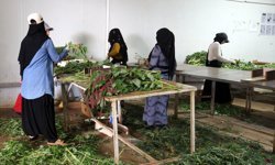 Anneler Günü çiçekleri Antalya'dan