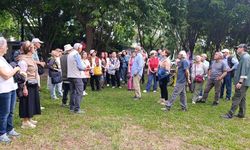 Antalya'da ağaç gezisi