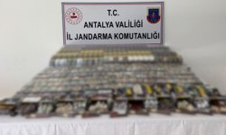Manavgat'ta kaçakçılık operasyonu