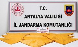 Jandarmadan uyuşturucu operasyonu