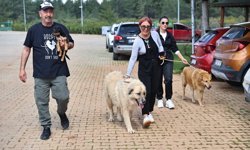 Can dostlar sıcak yuvalarına kavuşuyor