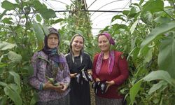 Aksu'da üç kuşak kadın serada