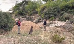 Gazipaşa'da kayıp Seda Nur için umut