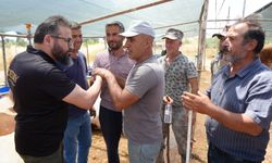 Kurban pazarında çetin pazarlıklar