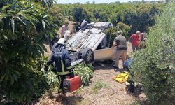 Manavgat'ta otomobil avokado bahçesine uçtu
