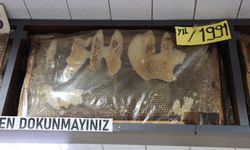 35 yıllık bal çerçeveleri dikkat çekiyor