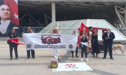 Kuşlar için müze önünde eylem