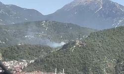 Fethiye’de orman yangını