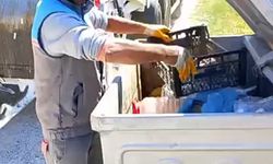 Çöp konteynerine atılan kaplumbağa kurtarıldı