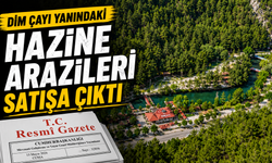 Alanya'da Dim Çayı yanındaki Hazine arazileri satılacak